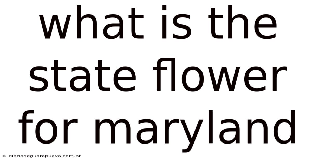 What Is The State Flower For Maryland