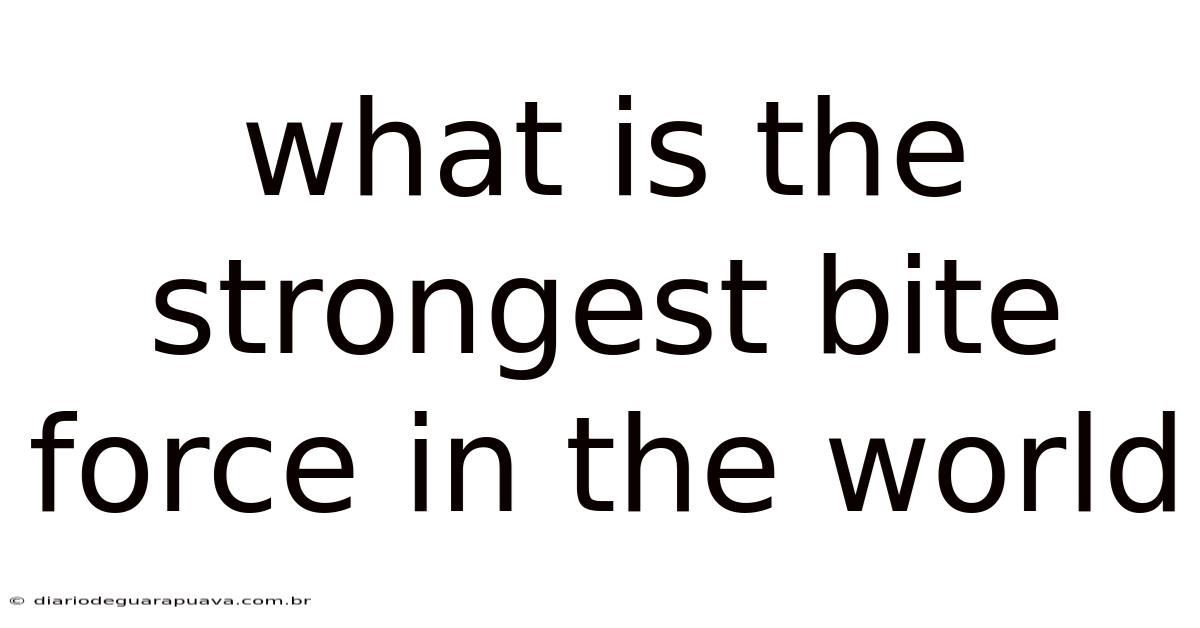 What Is The Strongest Bite Force In The World