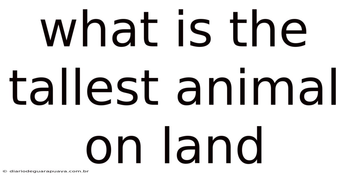 What Is The Tallest Animal On Land