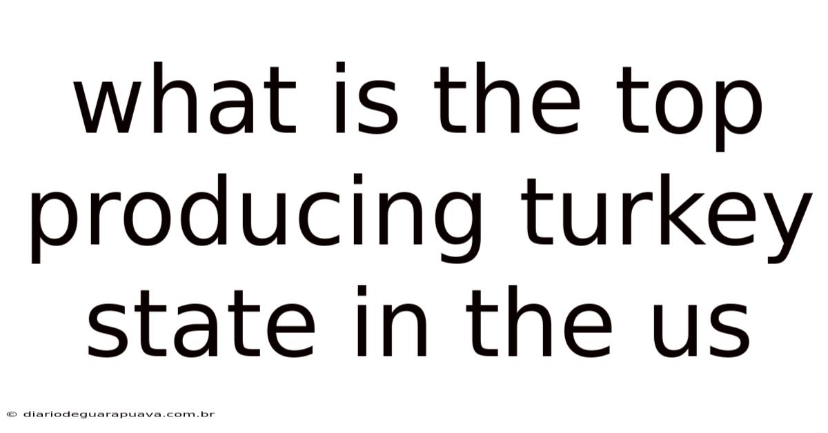 What Is The Top Producing Turkey State In The Us