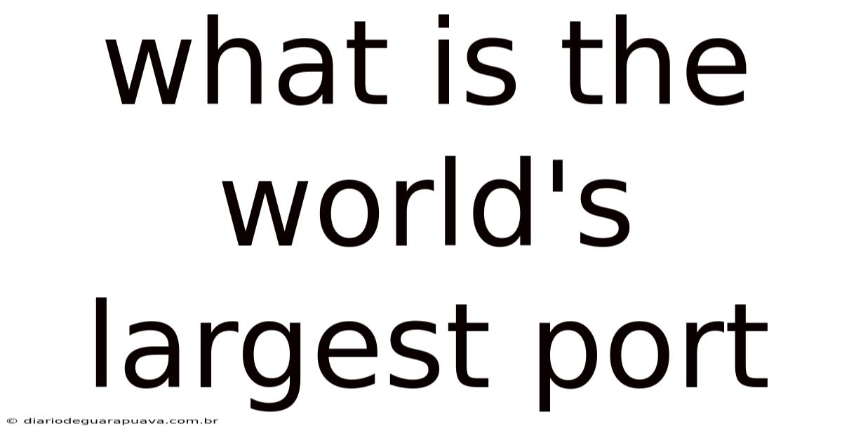 What Is The World's Largest Port
