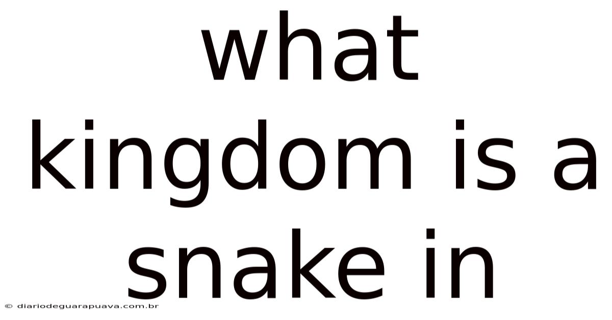 What Kingdom Is A Snake In