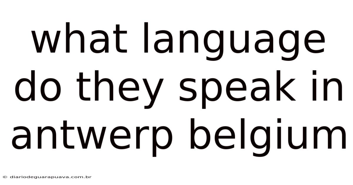 What Language Do They Speak In Antwerp Belgium