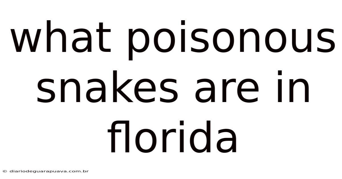 What Poisonous Snakes Are In Florida