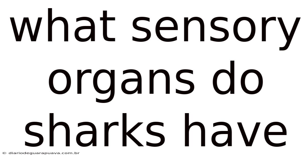 What Sensory Organs Do Sharks Have