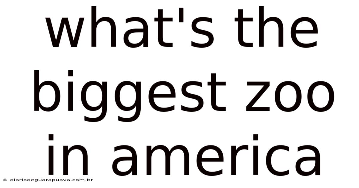 What's The Biggest Zoo In America
