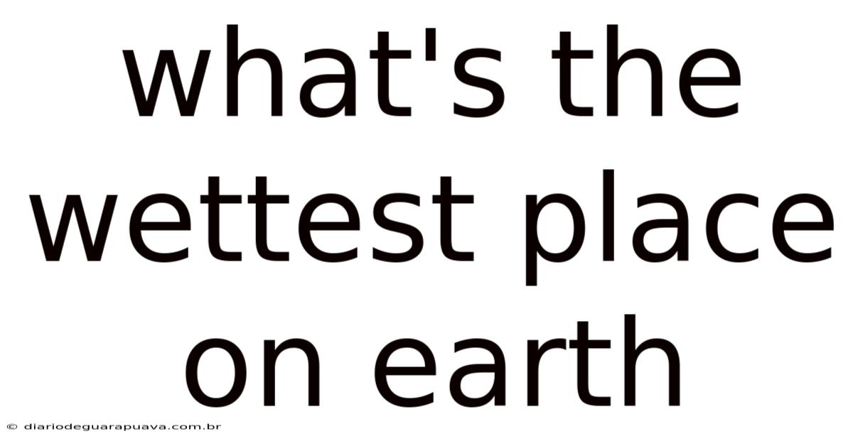 What's The Wettest Place On Earth