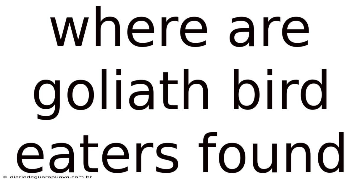 Where Are Goliath Bird Eaters Found