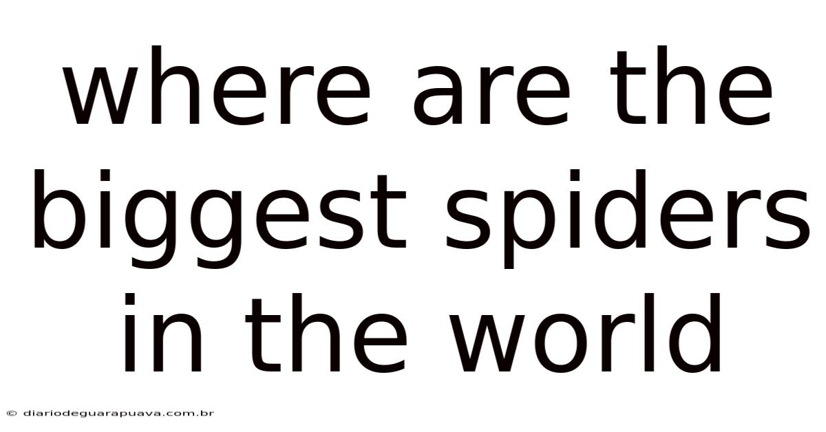Where Are The Biggest Spiders In The World