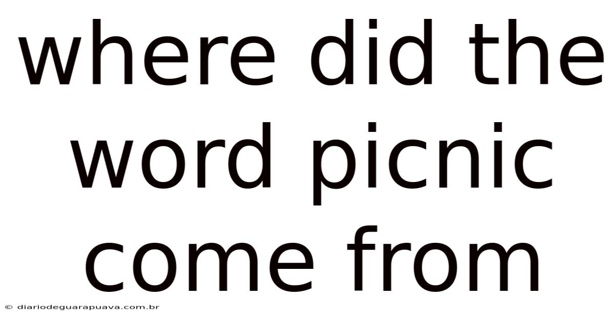 Where Did The Word Picnic Come From