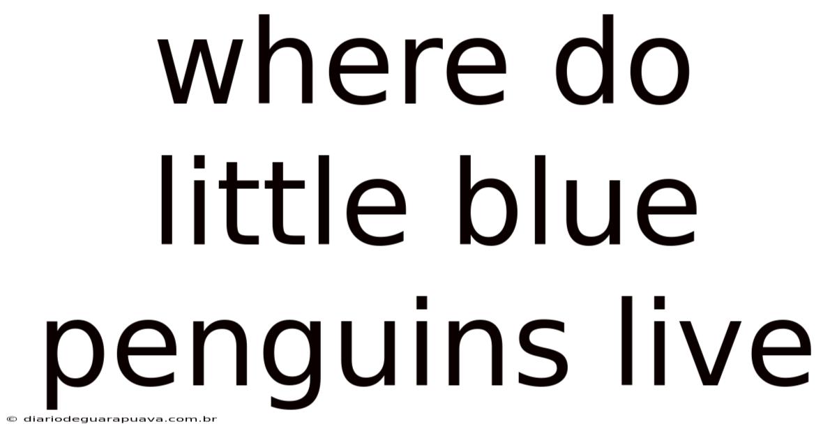 Where Do Little Blue Penguins Live