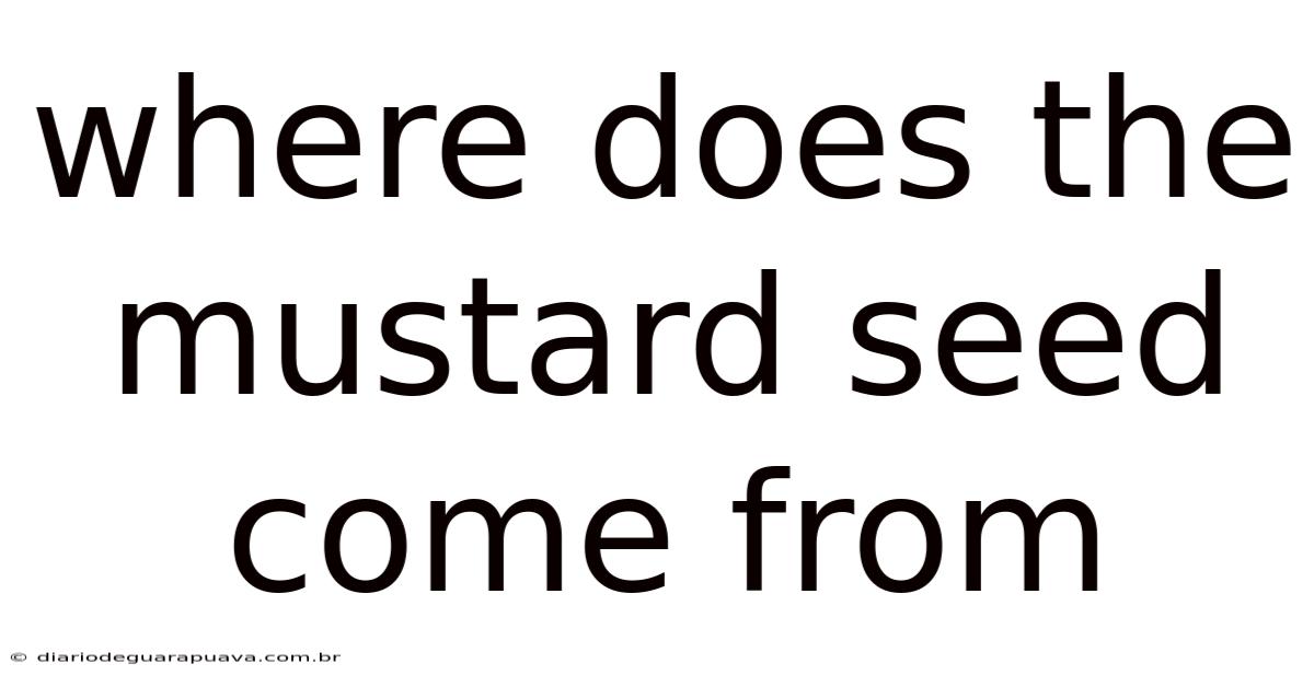 Where Does The Mustard Seed Come From