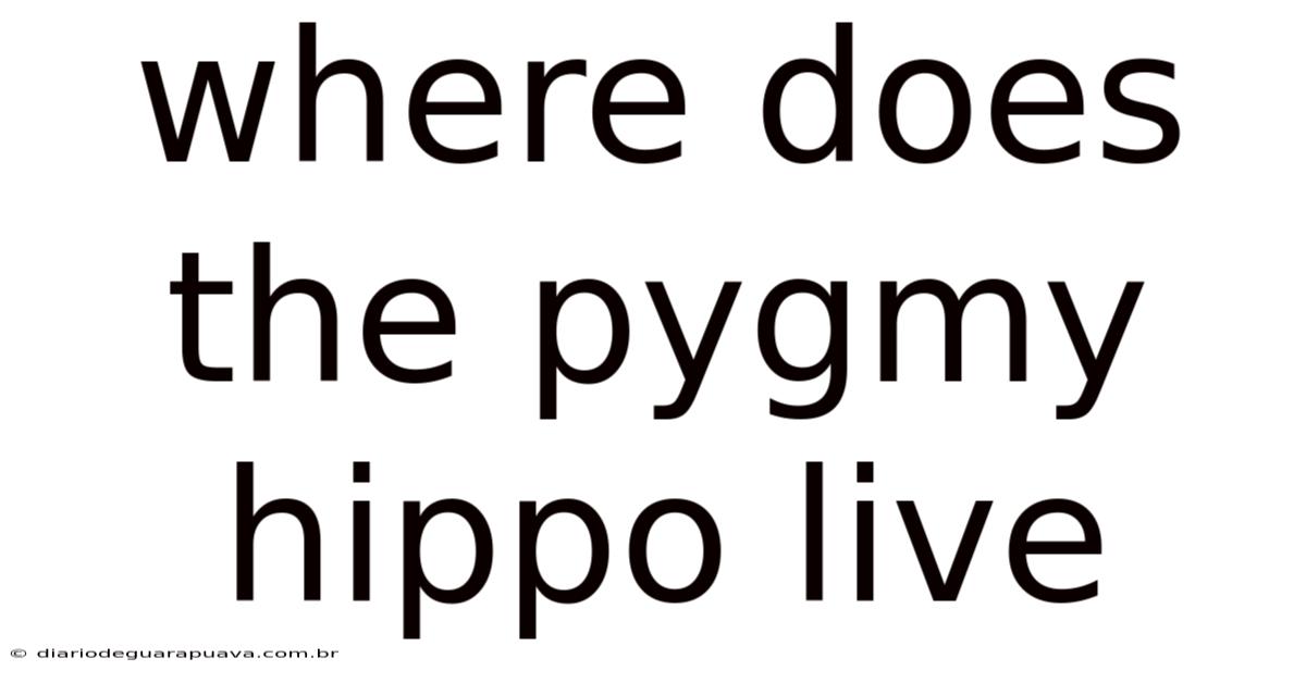 Where Does The Pygmy Hippo Live