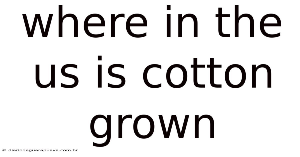 Where In The Us Is Cotton Grown
