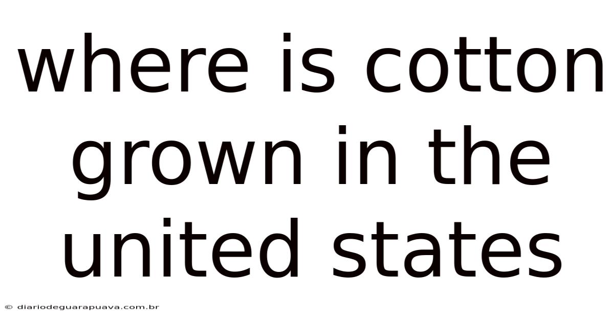 Where Is Cotton Grown In The United States