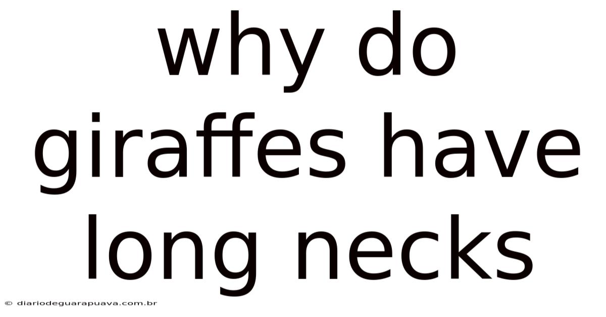 Why Do Giraffes Have Long Necks