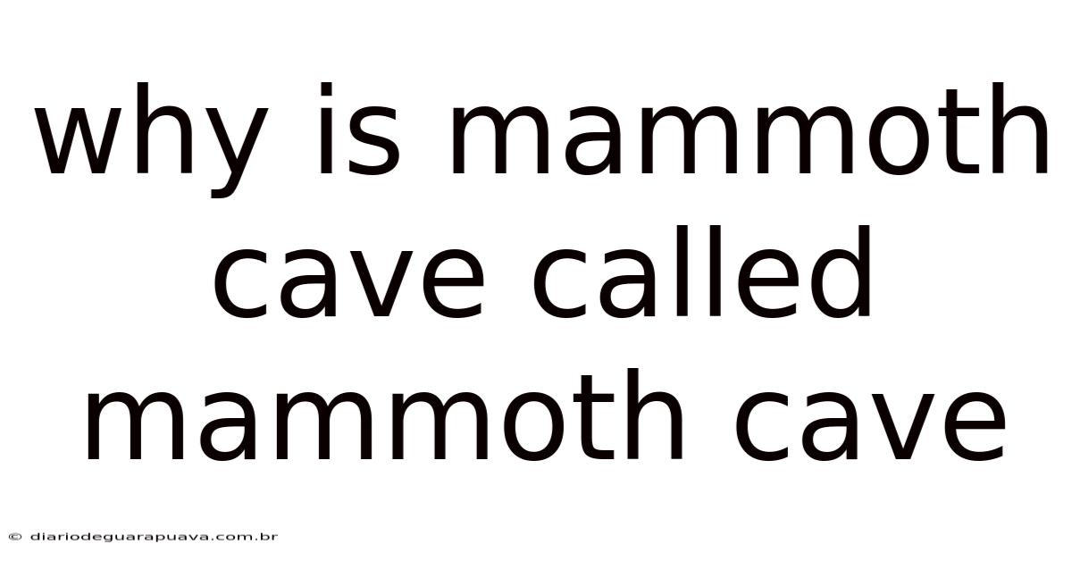 Why Is Mammoth Cave Called Mammoth Cave
