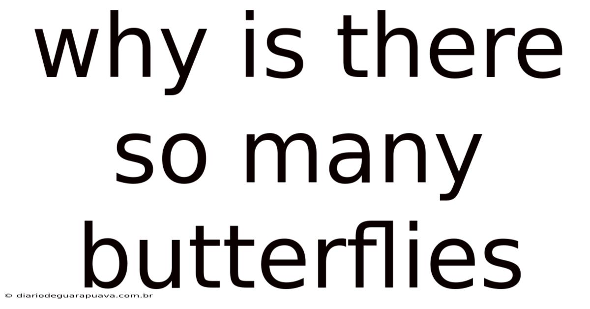 Why Is There So Many Butterflies