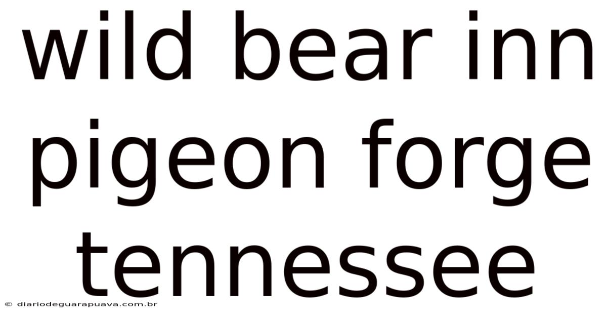 Wild Bear Inn Pigeon Forge Tennessee